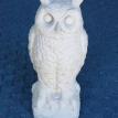 #78 Owl on Log